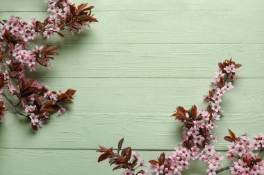 Renkli ahşap arka planda çiçek açan güzel dallar