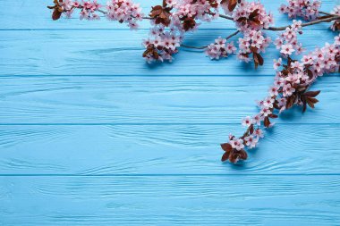 Beautiful blossoming branches on color wooden background clipart