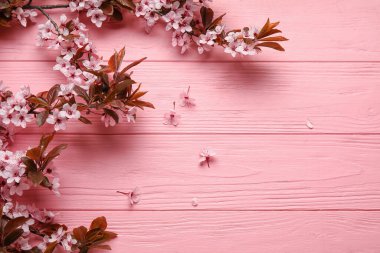 Renkli ahşap arka planda çiçek açan güzel dallar