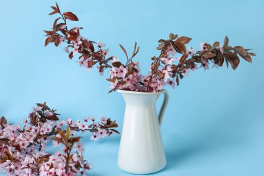 Renk arkaplan üzerinde çiçek açan güzel dalları olan vazo