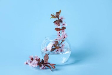 Renk arkaplan üzerinde çiçek açan güzel dalları olan vazo