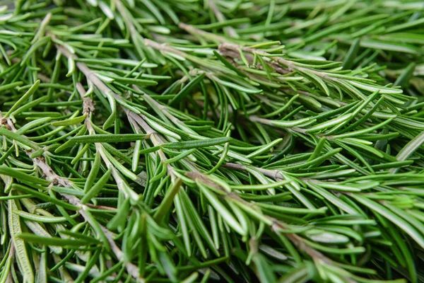 Fresh Rosemary Background Closeup — Stock Photo, Image