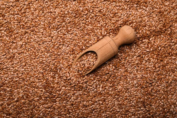 Scoop Raw Flax Seeds — Stock Photo, Image