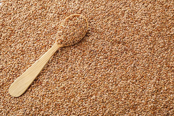 Spoon Raw Flax Seeds — Stock Photo, Image