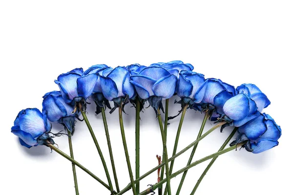 白色背景上美丽的蓝色玫瑰 — 图库照片