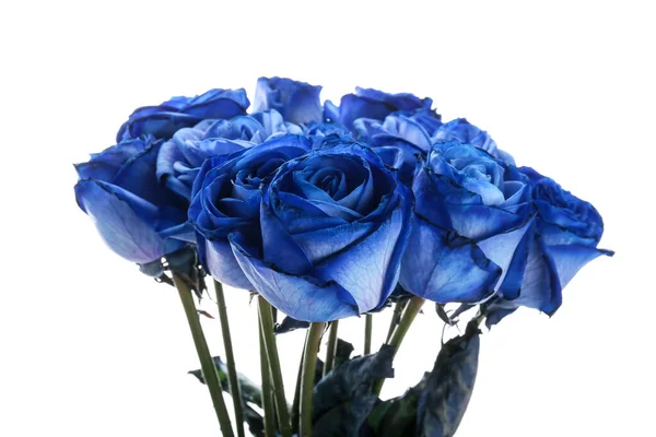 Красивые Голубые Розы Белом Фоне — стоковое фото