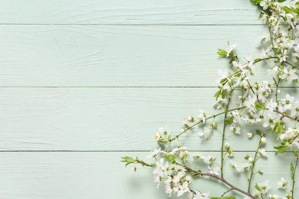 Piękne Kwitnące Gałęzie Kolorowym Drewnianym Tle — Zdjęcie stockowe