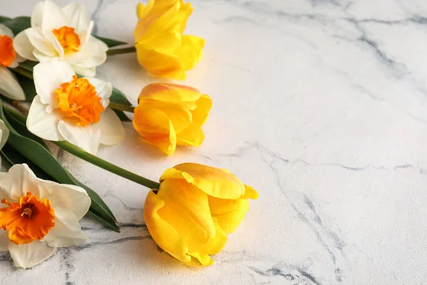 Vackra Blommor Ljus Bakgrund Närbild — Stockfoto