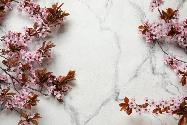 Açık arkaplanda çiçek açan güzel dallar