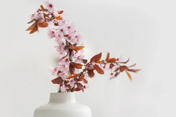 Vase Beautiful Blossoming Branches Room — Stock Photo, Image