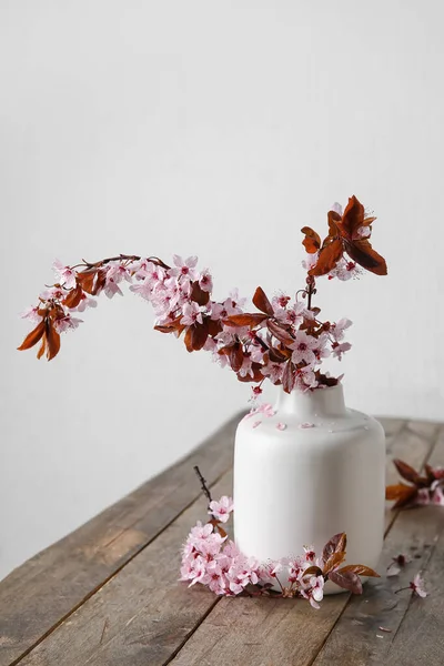 Vase Beautiful Blossoming Branches Wooden Table — Stock Photo, Image