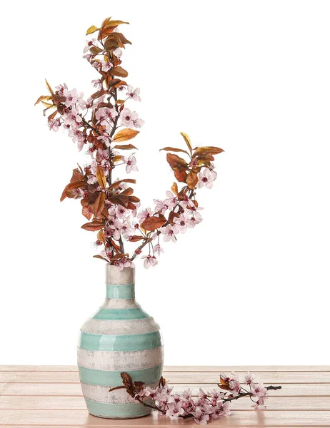 Vase Beautiful Blossoming Branches Wooden Table White Background — Stock Photo, Image