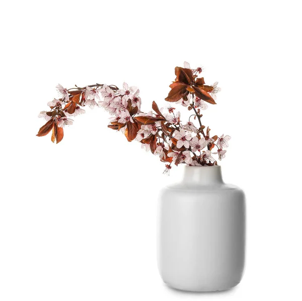 Wazon Pięknymi Kwitnącymi Gałęziami Białym Tle — Zdjęcie stockowe
