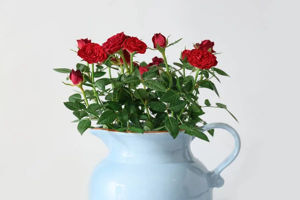 Hermosas Rosas Rojas Maceta Sobre Fondo Blanco —  Fotos de Stock