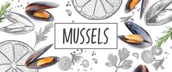 Tasty Mussels Spices Light Background — Stock Photo, Image