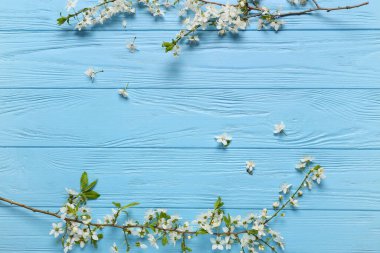 Renkli ahşap arka planda güzel açan dallar