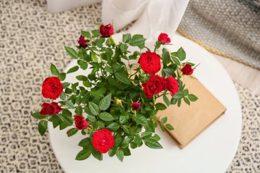 Saksıda güzel kırmızı güller ve yerde kitap