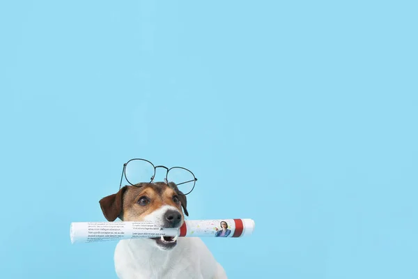 Cute Dog Newspaper Glasses Color Background — Stock Photo, Image