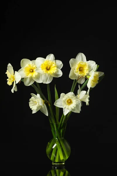 暗い背景に美しい水仙と花瓶 — ストック写真