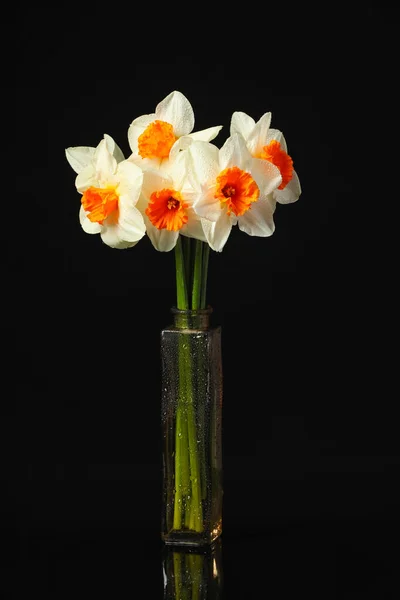 Vase Mit Schönen Narzissen Auf Dunklem Hintergrund — Stockfoto