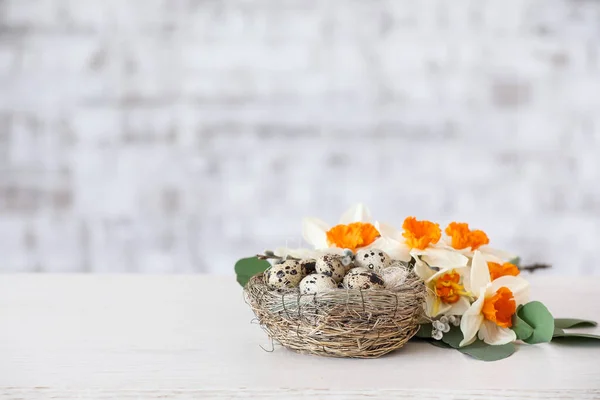 レンガの壁の近くのテーブルの上にウズラの卵を持つ美しい水仙と巣 — ストック写真
