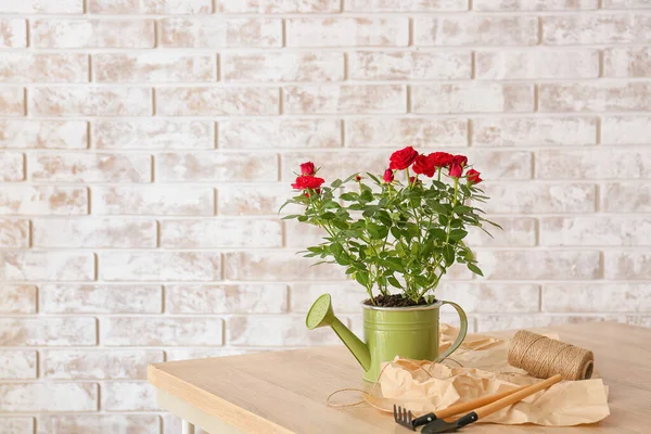 Vackra Röda Rosor Kruka Och Trädgårdsredskap Bord Nära Tegelvägg — Stockfoto