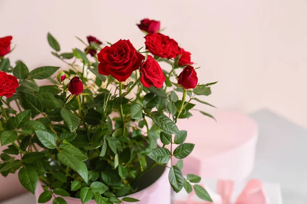 Beautiful Red Roses Box Shelf Room Closeup — Stock Photo, Image