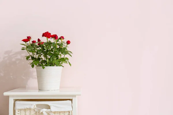 Beautiful Red Roses Pot Table Color Wall — Stock Photo, Image