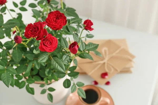 Schöne Rote Rosen Topf Auf Dem Tisch Nahaufnahme — Stockfoto