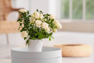 İçerideki masada saksıda güzel beyaz bir gül.