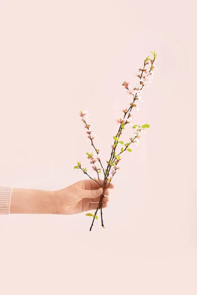 Renkli Arka Planda Güzel Çiçek Açan Dalları Olan Kadın — Stok fotoğraf