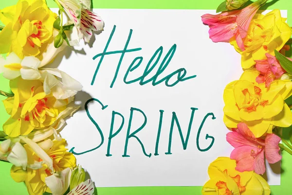 Text Hello Spring Beautiful Flowers Color Background — Stock Photo, Image