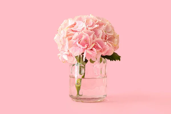 Vase Beautiful Hydrangea Flowers Color Background — Stock Photo, Image