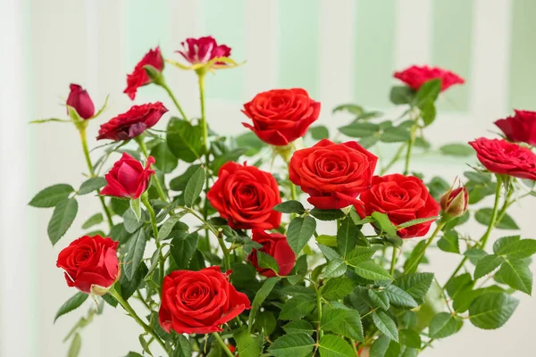 Beautiful Red Rose Indoors Closeup — Stock Photo, Image