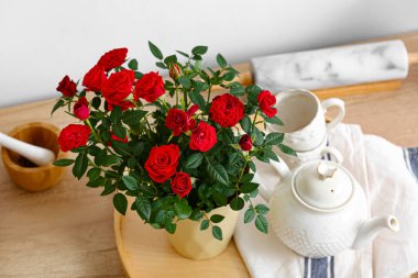 Masada duran güzel kırmızı güller