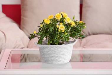 Masadaki güzel sarı güller