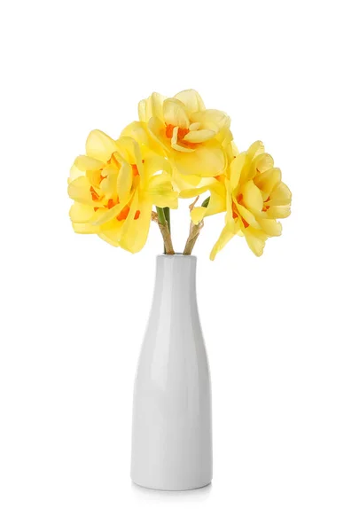 Florero Con Hermosas Flores Narcisas Sobre Fondo Blanco — Foto de Stock