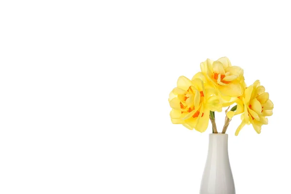 Vaso Com Belas Flores Narciso Fundo Branco — Fotografia de Stock