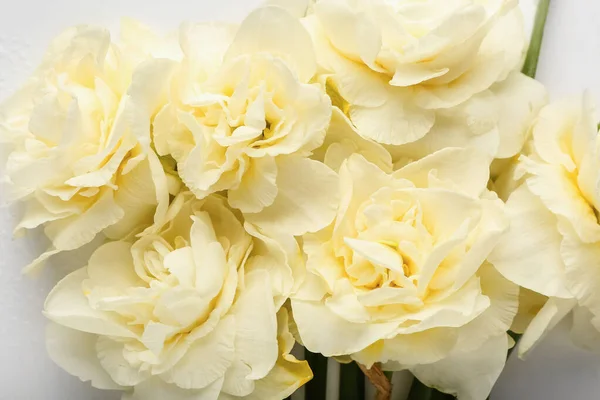 Beautiful Narcissus Flowers White Background Closeup — Stock Photo, Image