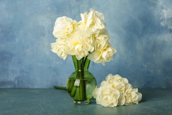 Vase Avec Belles Fleurs Narcisses Sur Fond Couleur — Photo