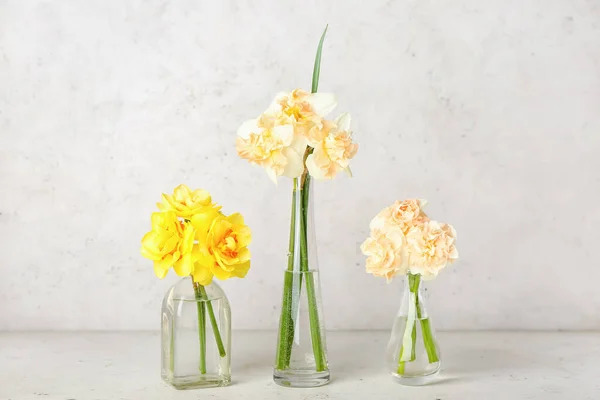 Jarrones Con Hermosas Flores Narcisas Sobre Fondo Claro — Foto de Stock