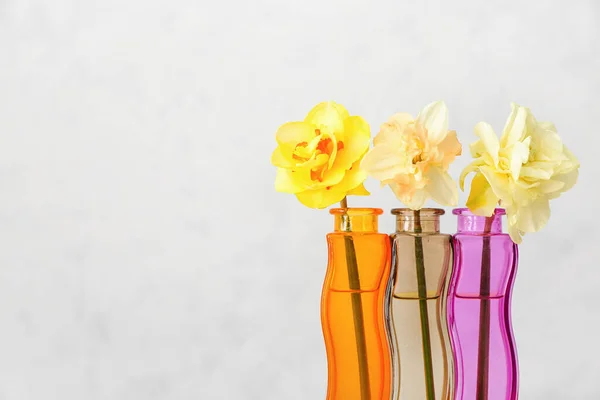 Jarrones Con Hermosas Flores Narcisas Sobre Fondo Claro — Foto de Stock