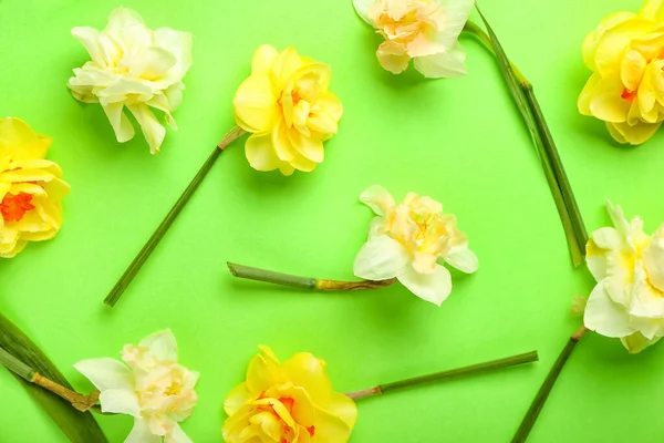 Beautiful Narcissus Flowers Color Background — Stock Photo, Image