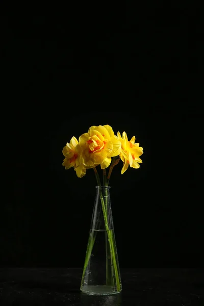 Koyu Arkaplanda Güzel Narsist Çiçekleri Olan Vazo — Stok fotoğraf