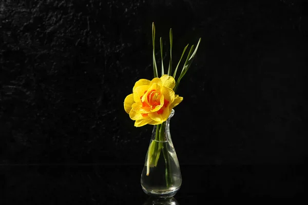 Vase Mit Schönen Narzissen Auf Dunklem Hintergrund — Stockfoto