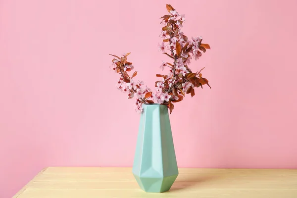 Renk Arkaplan Üzerinde Çiçek Açan Güzel Dalları Olan Vazo — Stok fotoğraf