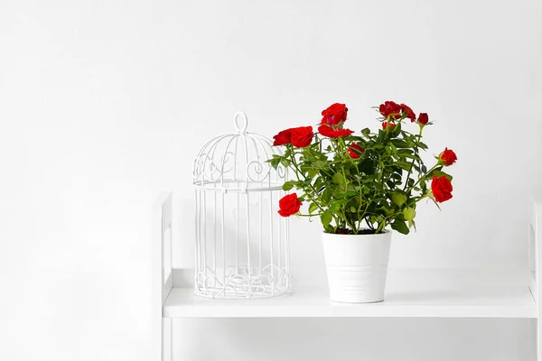 Beautiful Red Roses Pot Shelf Light Wall — Stock Photo, Image