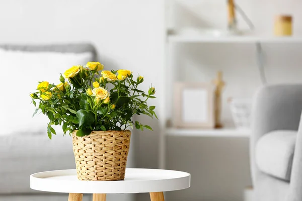 Beautiful Yellow Roses Pot Table Room — Stock Photo, Image