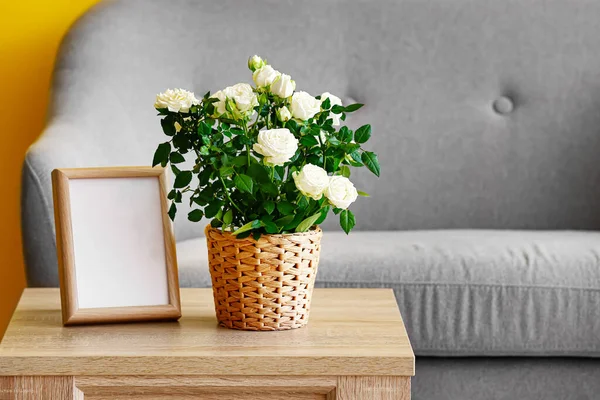 美しい白いバラの鍋と部屋のテーブルの上のフレーム — ストック写真