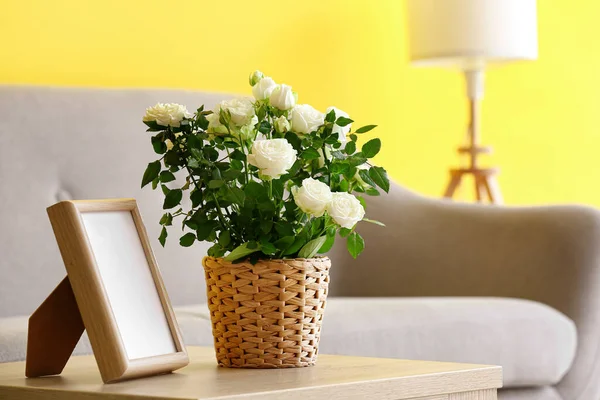 Красиві Білі Троянди Горщику Рамка Столі Кімнаті — стокове фото